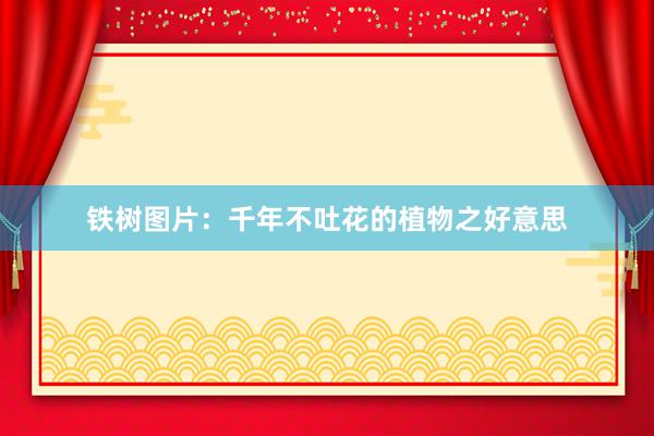 铁树图片：千年不吐花的植物之好意思
