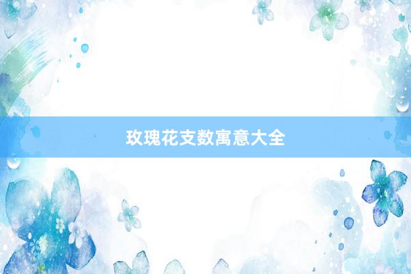 玫瑰花支数寓意大全