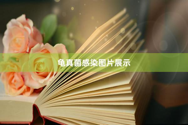 龟真菌感染图片展示