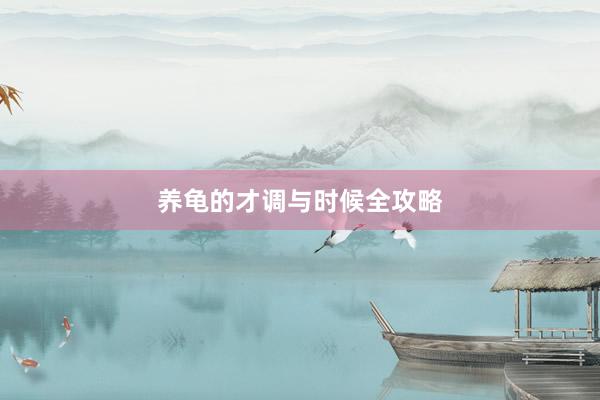 养龟的才调与时候全攻略