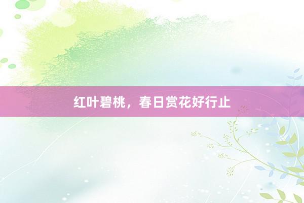红叶碧桃，春日赏花好行止